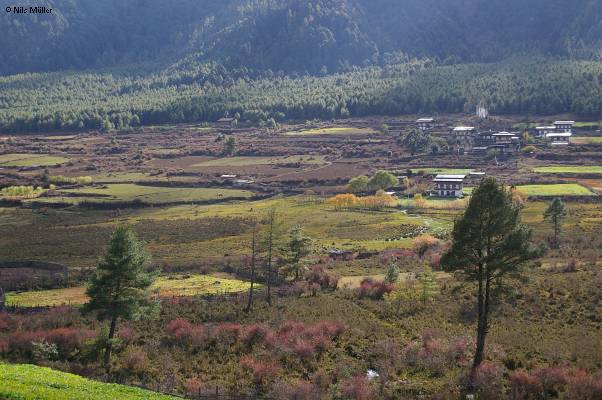 Bhutan; Gantey; Phobjika-Tal